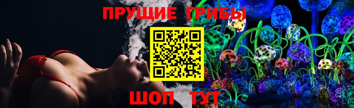 Псилоцибиновые грибы Psilocybe Волгоград