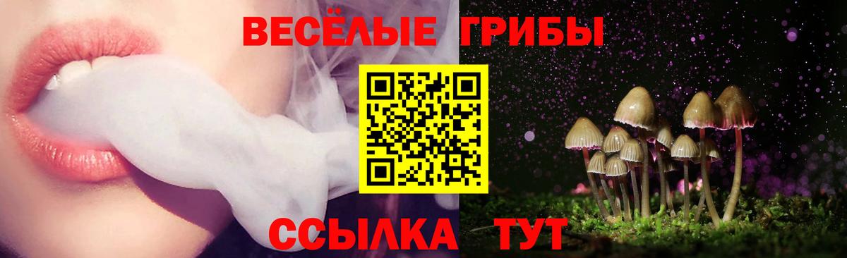 купить наркоту  Псилоцибиновые грибы Psilocybine cubensis  Псилоцибиновые грибы прущие грибы  Вход с VPN  Волгоград 